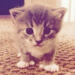 zoey zoey zoey zoey zoey zoey zoey zoey zoey zoey