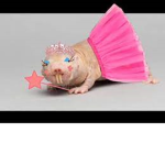 im the dancing queen