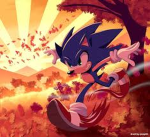 The Sonic fan base