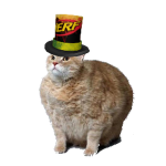 Muffin Cat Studios