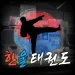 Hanul Taekwondo (Balance Patch) icon