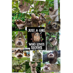 We love sloths yessss