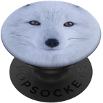Silly fox
