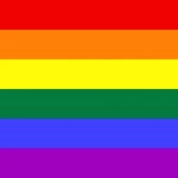 LGBTQ+ Flag icon