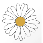 MY DAISY PPL