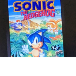 Sonic fans hangout
