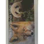 foxy panda nation