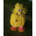Kiwis only club