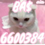 Baddie Ae$thetics
