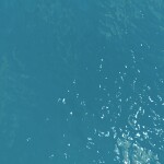 [nUSA] Court Case Submissions