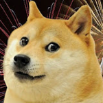 ! Doge fans! (dOGe FaNs)