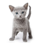 Kiki squad!!!!!