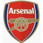 Arsenal team fan group