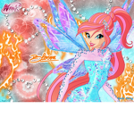 the winxfanclub