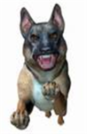 War dog