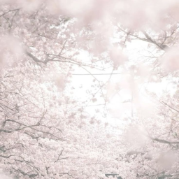 ✿