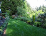 *~The Hidden Garden~*
