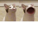 Arandomcatwithpc game's
