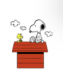 Snoopy team!!!