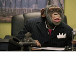 The United Chimp Republic