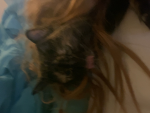 :3 amber :3