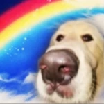 Siga Siga Group Thumbnail