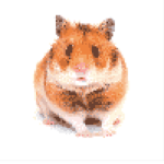 Hamster's Gone Wild