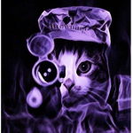 $NIPER CAT$