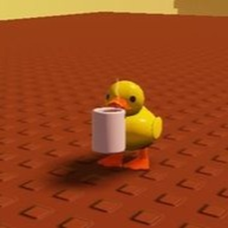 Duck's idea's