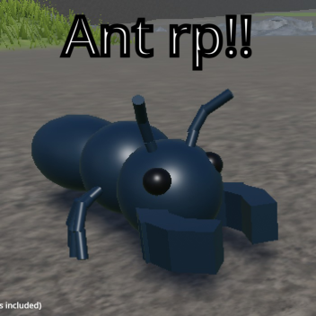 Ant rp