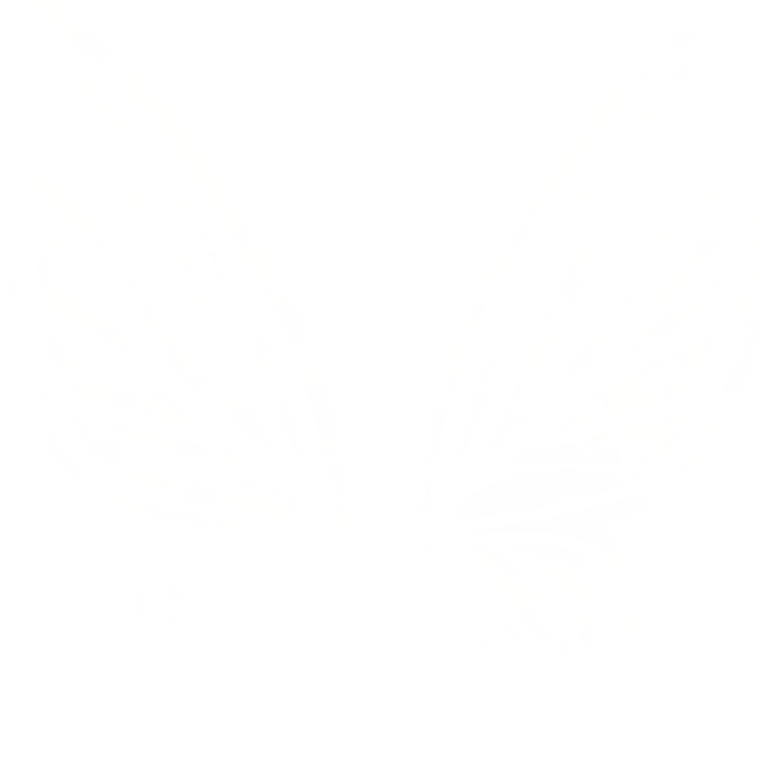 ♡ kawaii emissive neon white fairy wings