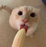 ##Bananafannafr##1