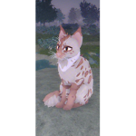 Warrior Cats link codes
