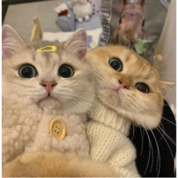 ♡