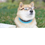 #NERDYNATION