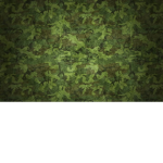 [USM] United States Militar.