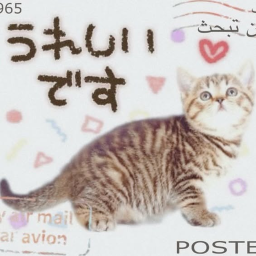 ⪩ ⪨