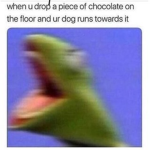 I’m lose at brain cells