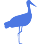 Blue Stork Studios