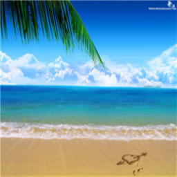 Fishy Beach