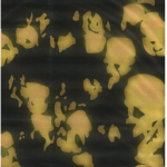 Glitch Game
