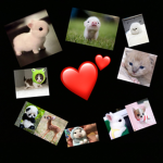 Cute Baby Animals Club