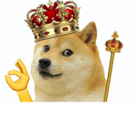 Dogs kingdom