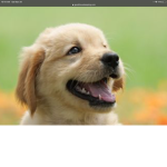 Dogs woooooofy