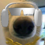 ICY's kool basement
