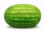 MELONS RISE!!!