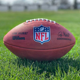 NFFL-National FootBall Fusion Leauge Draft