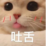 可愛容容的群組
