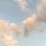 Starry's~