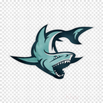 Shark Tribe!